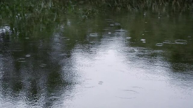 水面に雨が降っている風景