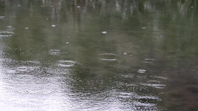 水面に雨が降っている風景