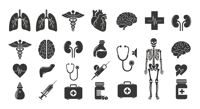 Healthcare icons demonstrate a systematic overview of medical instruments, anatomical organs, and pharmaceutical supplies for clinical documentation.