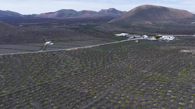 Aerial View of La Geria Lanzarote Volcanic Vineyards and Malvasia Wine Production Valley