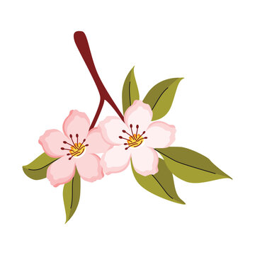 Pink cute flowers with green leaves. Floral vector illustration isolated on white background. Blossom apple tree