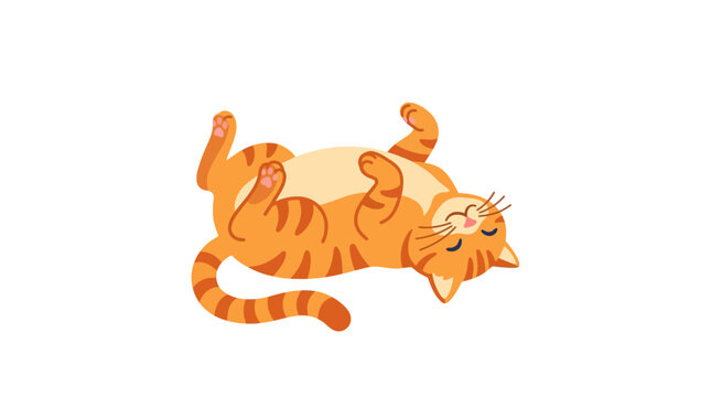 Cute orange tabby cat lying on its back, relaxed and happy, isolated on white background.