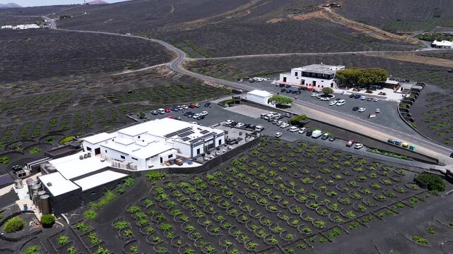 Aerial View of La Geria Lanzarote Volcanic Vineyards and Malvasia Wine Production Valley