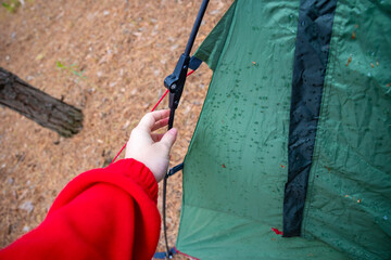 Obraz premium Hand in red sleeve assembling green automatic camping tent pole. Concept: tent setup