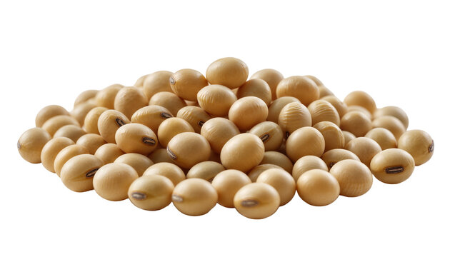 Pile of dried soybeans with visible hilum