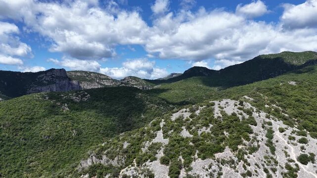 Wide panoramic view of green forested hills and rocky mountains under a blue sky with clouds.