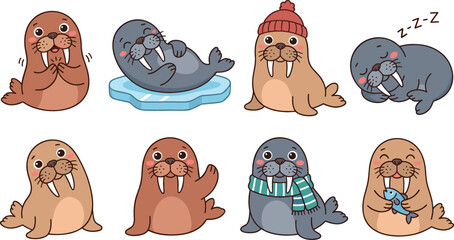 Cute walrus vector cartoon character set featuring funny arctic seals sleeping on ice floe wearing winter beanie scarf and holding fish isolated on white background. © Mdjony