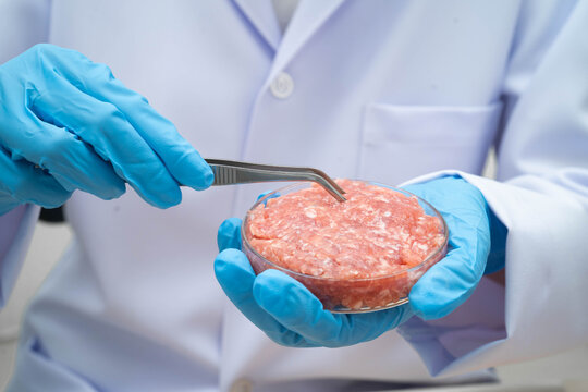 Scientist holding Petri dish with meat in science laboratory for food product development.