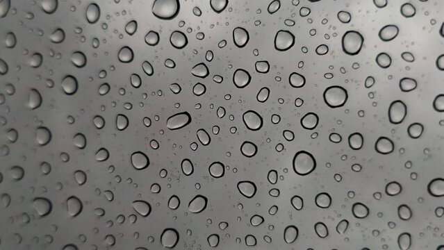 rain drops on the window