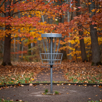 Environment Concept Golf Vibrant. Autumn Forest Course With Disc Golf Basket In Focus