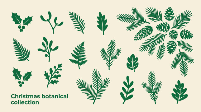 Christmas botanical collection of evergreen branches, holly leaves, mistletoe and pine cones vector illustration on beige background