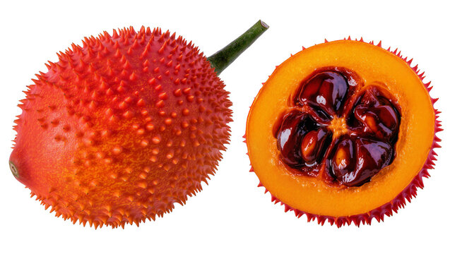 Spiky orange Gac fruit whole and halved showing seeds