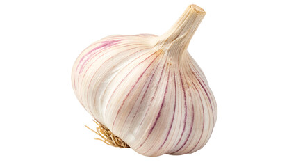Fresh raw garlic bulb organic spice vegetable agriculture cooking ingredient isolated on transparent background