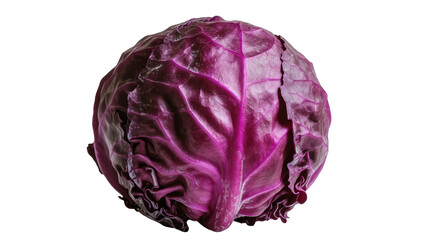 Fototapeta premium Whole red cabbage head with vibrant purple leaves