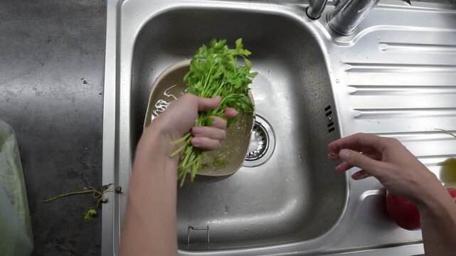 Washing fresh parsley bunch under running water in modern kitchen Full HD sink video