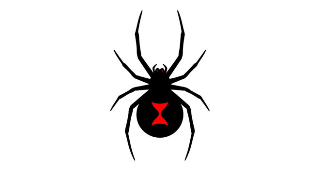 Black widow spider symbol illustration on white background