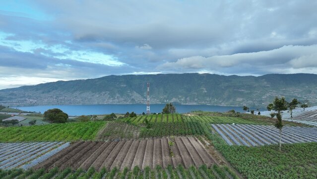 Aerial view of Alahan Panjang agricultural fields and Lake Diatas with terraced vegetable plantations and mountains in Lembah Gumanti, West Sumatra, Indonesia.