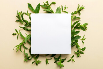 Wreath frame made of empty paper blank with space for text and mint leaves on colored background. . Mint Pattern. Flat lay. Top view © sosiukin