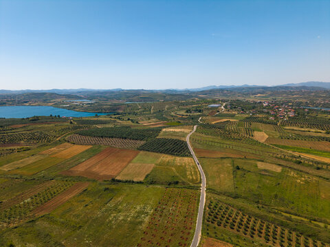 Aerial view of a winding road through agricultural fields and olive groves near Lake Belsh under a clear blue sky in Belesh, Qarku i Elbasanit, Albania.