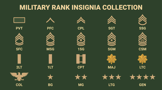 Military rank insignia symbols collection.