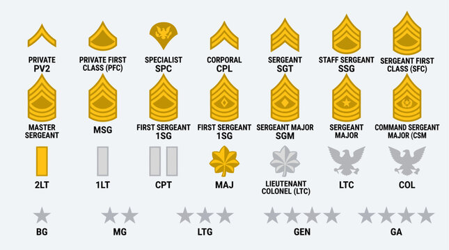 Military rank insignia symbols chart.