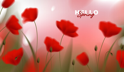 Obraz premium Beautiful spring horizontal banner with red poppy flowers on abstract blurred bokeh background, vector illustration of blooming poppies floral backdrop for greeting card, web header design.