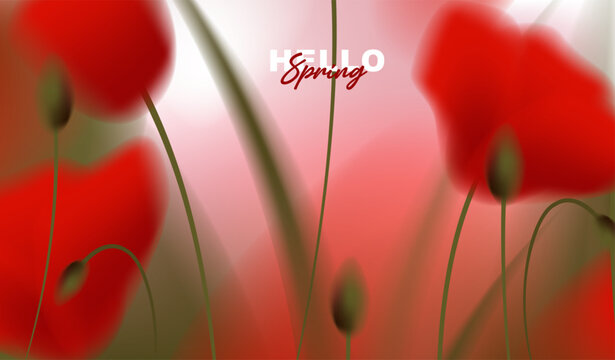 Beautiful spring horizontal banner with red poppy flowers on abstract blurred bokeh background, vector illustration of blooming poppies floral backdrop for greeting card, web header design.