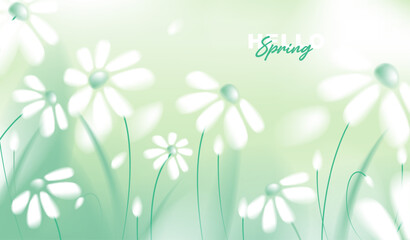 Obraz premium Beautiful spring horizontal banner with white daisy flowers on abstract blurred green background, vector illustration of blooming daisies floral backdrop for greeting card, web header design.