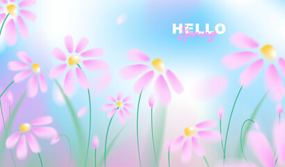 Beautiful spring horizontal banner with pink cosmos flowers on abstract blurred bokeh background, vector illustration of blooming floral backdrop for greeting card, web header design. © TripleP Studio