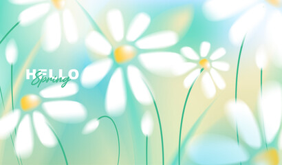 Obraz premium Hello spring greeting card vector background with beautiful white daisy flowers blooming in fresh green and blue soft bokeh, perfect for seasonal banner, flyer, poster and wallpaper design.
