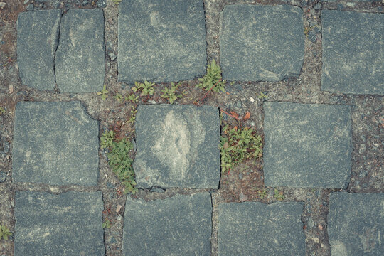 Texture of fragment of gray path made of masonry with sand in seams between paving stones.