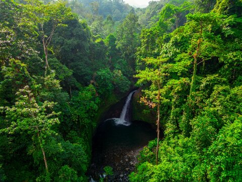 Aerial view of Palak Siring Kemumu waterfall cascading into a dark pool surrounded by dense tropical rainforest in Kecamatan Arma Jaya, Bengkulu, Indonesia.