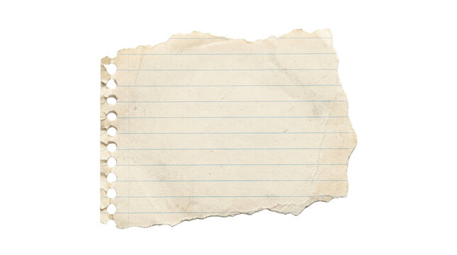 Torn notebook paper scrap isolated on transparent background for design