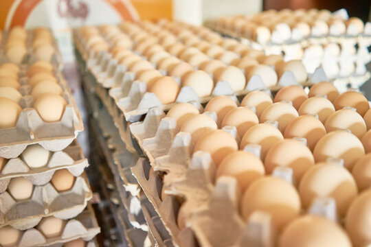 Flocks of heritage poultry thriving in spacious coops and snowy outdoors, alongside close-ups of freshly harvested brown ova in cardboard flats, highlighting sustainable agriculture and whole foods.
