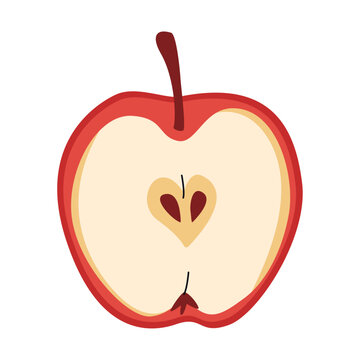 Half red apple. Vector illustration of fresh sliced fruit isolated on white background. Snack for school. Autumn harvest