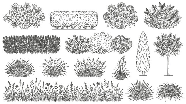Detailed Hand-Drawn Collection of Garden Shrub and Bush Elements with Ornamental Plant and Meadow Sketch Illustrations for Landscape Design and Art
