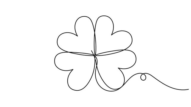Continuous one line drawing of four leaf clovers sign icon single art three leaves clover on white background minimalist shamrock and sustainability symbol 4k animation video