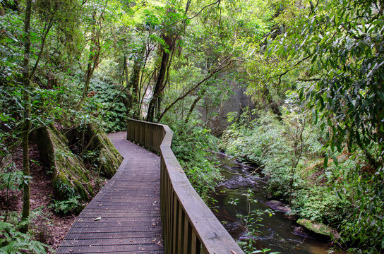 Aerial view of a wooden boardwalk winding through a lush green forest alongside a flowing stream at Mangapohue Natural Bridge in Te Anga, Waikato Region, New Zealand.