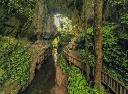 Aerial view of the Mangapohue Natural Bridge with a limestone arch, wooden boardwalk, and lush green vegetation in a gorge Te Anga, Waikato Region, New Zealand.