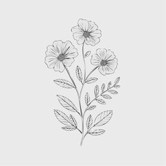 Obraz premium A delicate hand-drawn line art illustration of a small bouquet of three wildflowers.