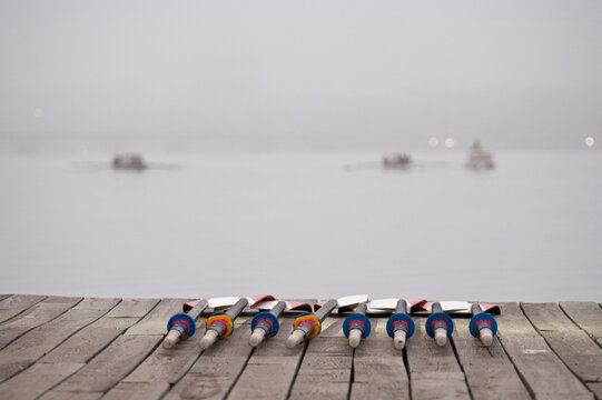 Oars on dock