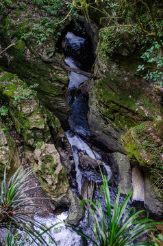 Aerial view of Mangapohue Natural Bridge with a stream flowing through a deep limestone gorge covered in green moss and lush native forest in Te Anga, Waikato Region, New Zealand.