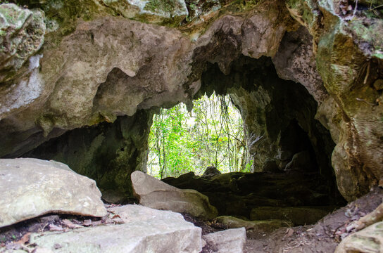 Aerial view of Mangapohue Natural Bridge with limestone rock formations and lush green forest foliage in Te Anga, Waikato Region, New Zealand.