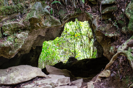 Aerial view of Mangapohue Natural Bridge with lush green forest and ferns visible through the limestone arch in Te Anga, Waikato Region, New Zealand.