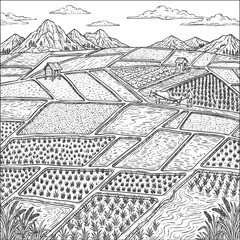 Fototapeta premium Agriculture - Traditional rice field terrace landscape featuring a farmer plowing with an ox against a scenic mountain backdrop in a vintage