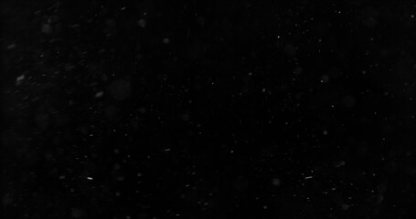 Fototapeta premium Realistic falling snow and airborne dust particles drifting through dark space. Atmospheric winter storm effect on black background, ideal for overlays, VFX compositing and cinematic scenes.