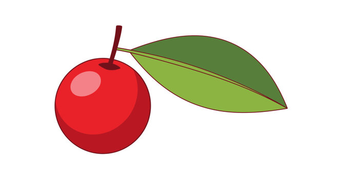 Vibrant red cherry with leaf isolated on white background for design