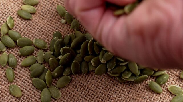Hand scooping a handful of hulled pumpkin seeds (pepitas) from a pile and letting them fall back onto a rustic burlap surface