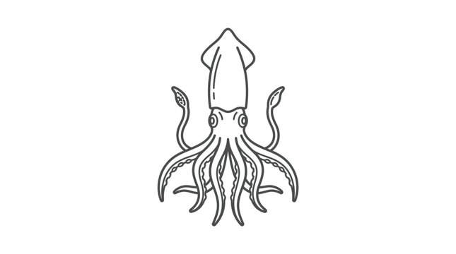 Minimalist squid line art illustration on white background
