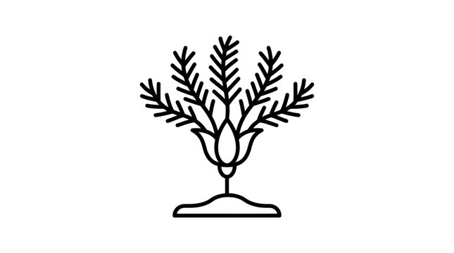 Branching marine hydroid invertebrate colony line art.